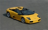 Lamborghini Murcielago Roadster - 2004 HD Wallpaper #19