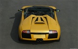 Lamborghini Murcielago Roadster - 2004 HD tapetu #26