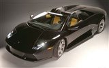 Lamborghini Murcielago Roadster - 2004 fonds d'écran HD #37