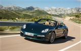 Porsche Boxster - 2009 保时捷