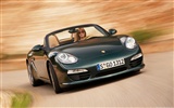 포르쉐 Boxster - 2009의 HD 벽지 #2