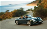 Porsche Boxster - 2009 HD tapetu #4