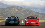 Porsche Boxster - 2009 HD wallpaper #8