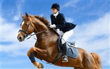 Super horse photo wallpaper (1) #4