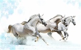 Super horse photo wallpaper (1) #9