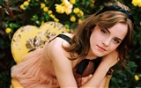 Widescreen Wallpaper Collection actrice (10)