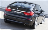 Hamann BMW Serie 5 Gran Turismo - 2010 fondos de escritorio de alta definición #16