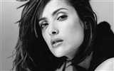 Salma Hayek beau fond d'écran (2) #1