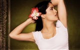 Salma Hayek beautiful wallpaper (2) #23