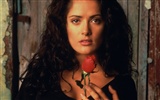 Salma Hayek hermoso fondo de pantalla (2) #26