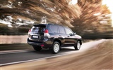 Toyota Land Cruiser Prado - 2009 HD tapetu #7