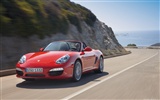 Porsche Boxster S - 2009 HD wallpaper #5