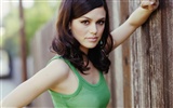 Rachel Bilson beautiful wallpaper (3)