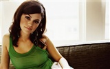 Rachel Bilson 瑞切爾·貝爾森 美女壁紙(三) #5