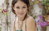 Rachel Bilson schöne Tapete (3) #33