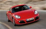 Porsche Cayman - 2009 保时捷