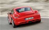 Porsche Cayman - 2009 HD Wallpaper #4