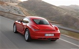 Porsche Cayman - 2009 fonds d'écran HD #6