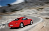 Porsche Cayman - 2009 保时捷7