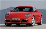 Porsche Cayman - 2009 HD tapetu #10