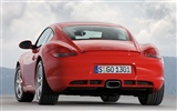 Porsche Cayman - 2009 HD Wallpaper #11