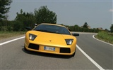 Lamborghini Murcielago - 2001 蘭博基尼(一) #12