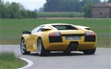 Lamborghini Murcielago - 2001 HD Wallpaper (1) #40