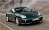 Porsche Cayman S - 2009 HD tapetu #3