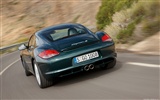 Porsche Cayman S - 2009 fonds d'écran HD #6