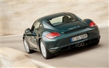 Porsche Cayman S - 2009 保时捷7