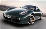 Porsche Cayman S - 2009 fonds d'écran HD #9