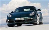 Porsche Cayman S - 2009 HD tapetu #11