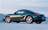 Porsche Cayman S - 2009 fondos de escritorio de alta definición #13