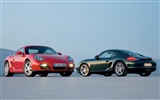 Porsche Cayman S - 2009 HD tapetu #16