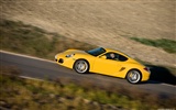 Porsche Cayman S - 2009 HD wallpaper #17