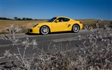 Porsche Cayman S - 2009 HD wallpaper #18