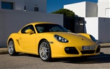 Porsche Cayman S - 2009 fondos de escritorio de alta definición