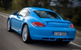 Porsche Cayman S - 2009 HD tapetu #23