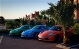 Porsche Cayman S - 2009 HD Wallpaper #24