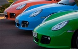 Porsche Cayman S - 2009 HD Wallpaper #25