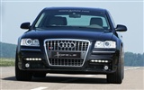 Hofele Audi A8 D3 Facelift 奥迪1