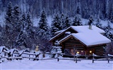 Snow Widescreen-Wallpaper (3) #11