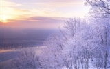 Snow widescreen wallpaper (3) #12