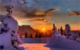 Snow widescreen wallpaper (3) #15