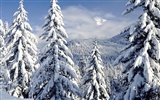 Fond d'écran panoramique de neige (4) #5