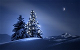 Snow Widescreen-Wallpaper (4) #10