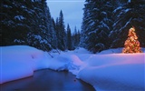 Fond d'écran panoramique de neige (4) #12