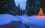 Snow widescreen wallpaper (4) #12