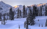 Fond d'écran panoramique de neige (4) #14