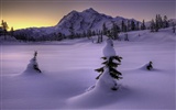 Fond d'écran panoramique de neige (4) #18
